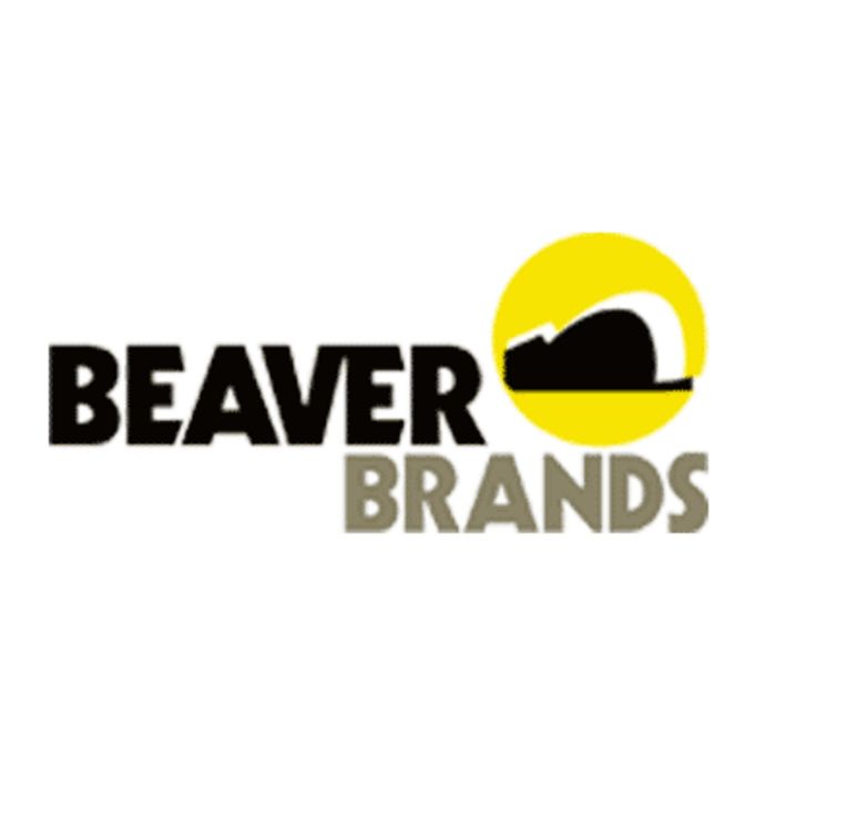 BEAVER 25X800MM LC250KG CAM BUCKLE 